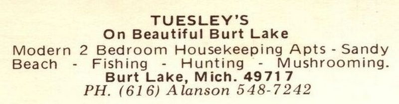 Tuesley Burt Lake Resort (Tuesleys Motel) - Postcard (newer photo)